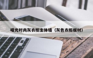 哑光时尚灰衣柜主体墙（灰色衣柜板材）