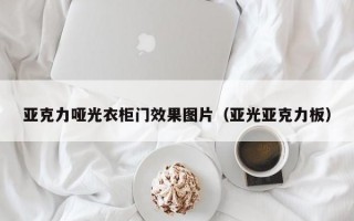 亚克力哑光衣柜门效果图片（亚光亚克力板）