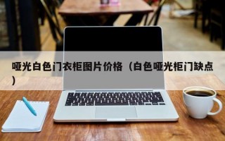 哑光白色门衣柜图片价格（白色哑光柜门缺点）