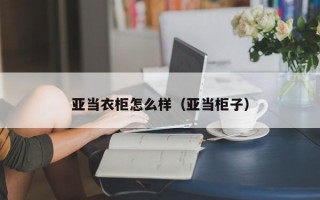 亚当衣柜怎么样（亚当柜子）